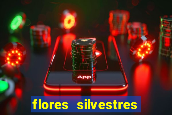 flores silvestres desbravadores desbravadores 25 flores silvestres e seus nomes